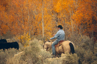 Cowboy Shit