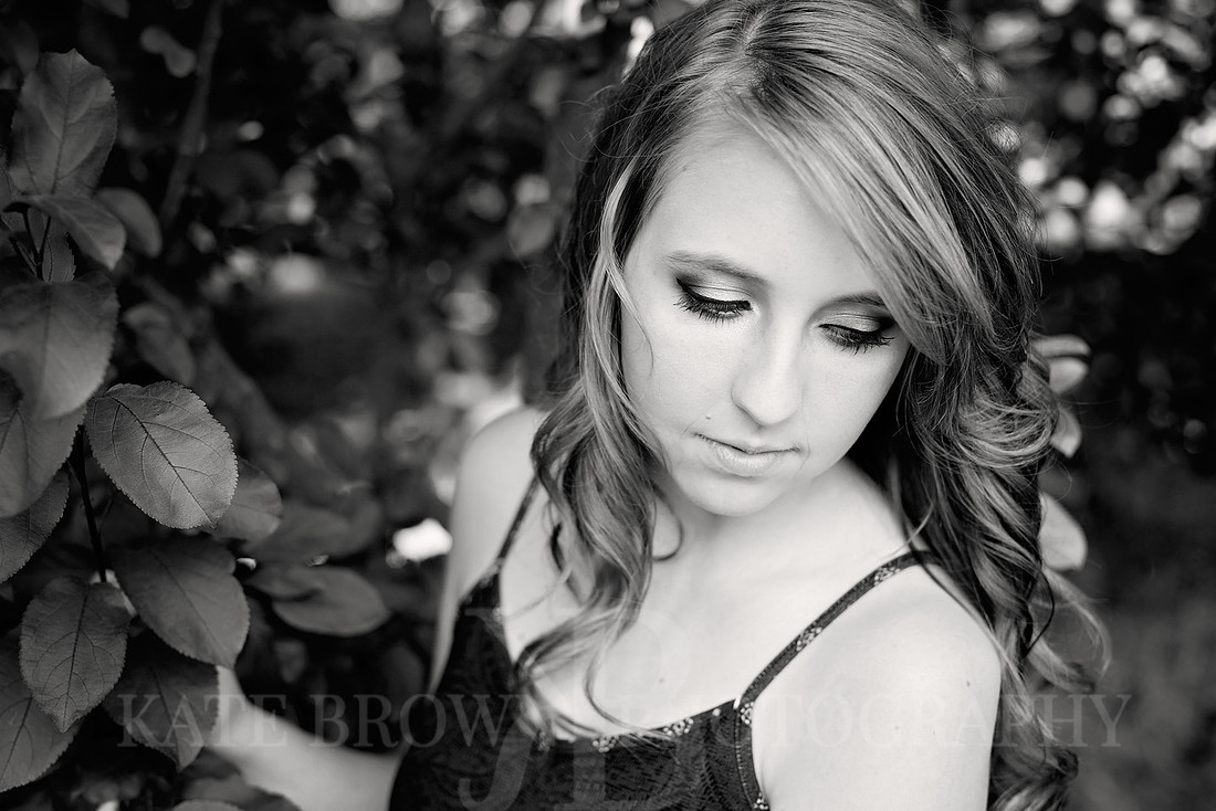 Seniors, Revised Lexi