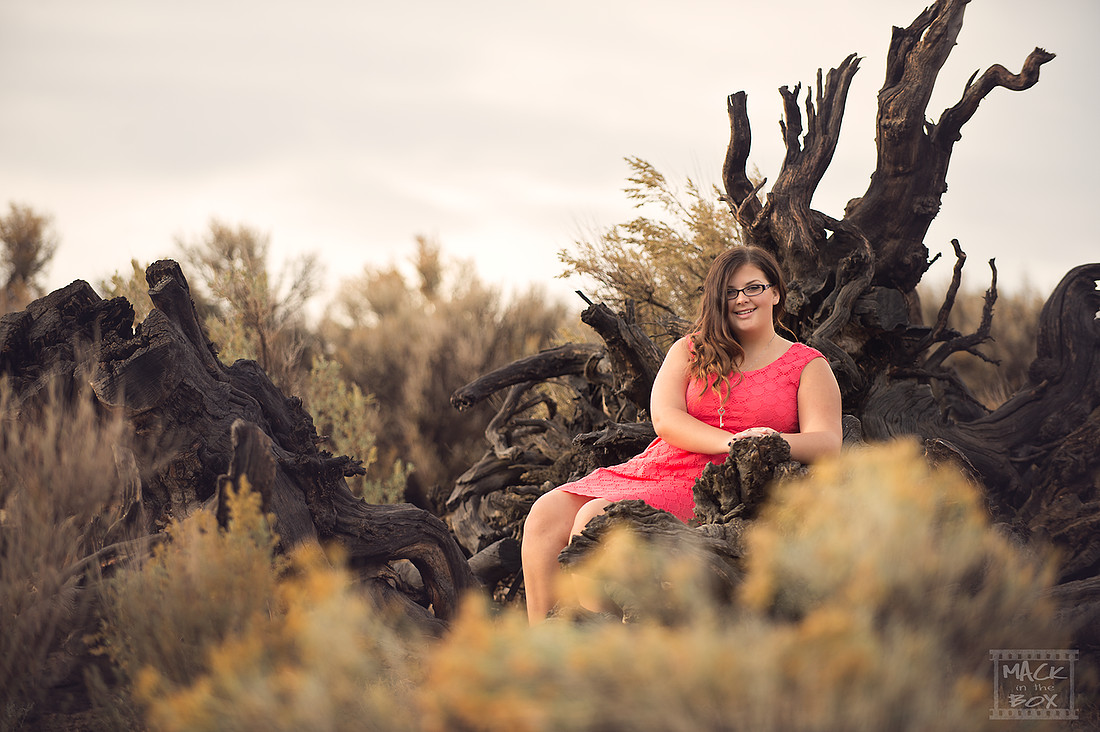 Seniors, Revised Bailey