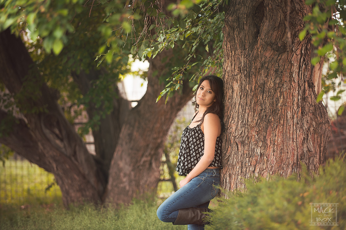 Seniors, Revised Mirella