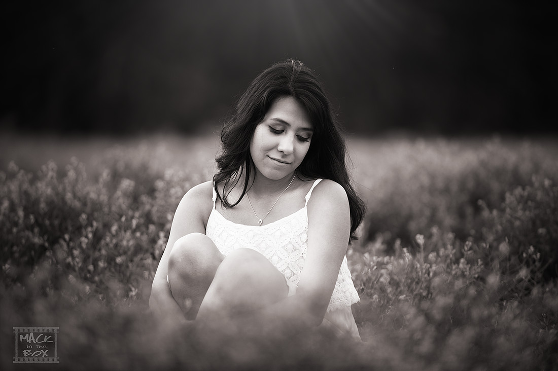 Seniors, Revised Mirella