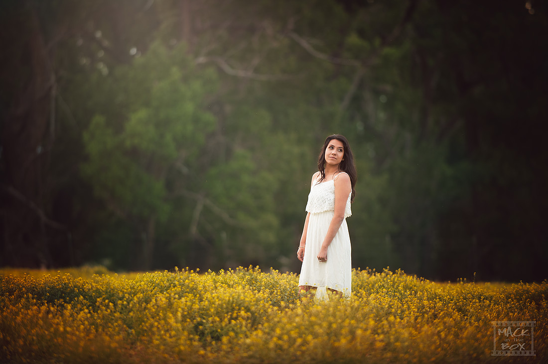 Seniors, Revised Mirella